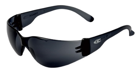 Lunettes polycarbonate teint� gris ROUNDFIT Classic